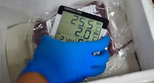 Effective cold chain logistics cost control solutions