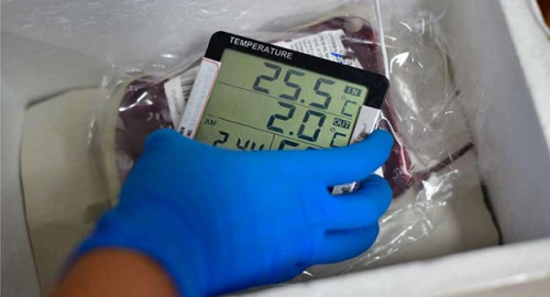Effective solutions to limit costs in cold supply chain logistics