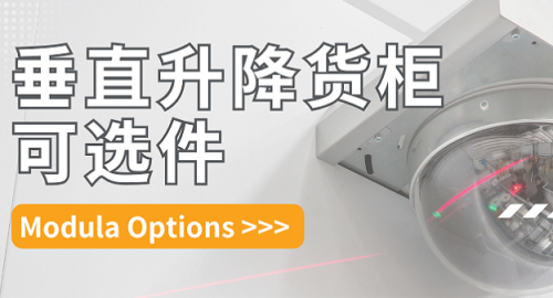 Modula Options: More Choices Beyond the Standard Modula Options: More Choices Beyond the Standard